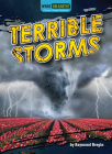 Terrible Storms By Raymond Bergin Cover Image