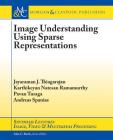 Image Understanding Using Sparse Representations (Synthesis Lectures on Image) By Jayaraman J. Thiagarajan, Karthikeyan Natesan Ramamurthy, Pavan Turaga Cover Image