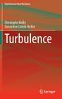 Turbulence (Experimental Fluid Mechanics) By Christophe Bailly, Geneviève Comte-Bellot Cover Image
