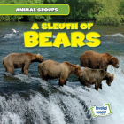 A Sleuth of Bears (Animal Groups) Cover Image