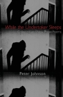 While the Undertaker Sleeps By Peter Johnson Cover Image