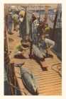 Vintage Journal Fish on Dock, Florida By Found Image Press (Producer) Cover Image
