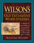 Wilson's Old Testament Word Studies By William Wilson Cover Image