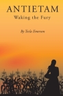 Antietam: Waking the Fury Cover Image