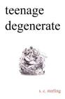 Teenage Degenerate: A Memoir that Explores the Depths of Methamphetamine and Drug Addiction By S. C. Sterling Cover Image