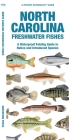 North Carolina Freshwater Fishes: A Waterproof Folding Guide to Familiar Species By Matthew Morris, Waterford Press, Raymond Leung (Illustrator) Cover Image
