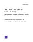 The Urban Child Institute Candle Study: Methodological Overview and Baseline Sample Description Cover Image