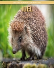 Igel: Das erstaunliche Leben der Igel By Lina Maisto Cover Image