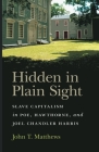 Hidden in Plain Sight (Mercer University Lamar Memorial Lectures) By John T. Matthews Cover Image
