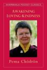Awakening Loving-Kindness By Pema Chodron Cover Image