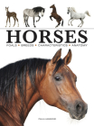 Horses (Mini Encyclopedia) By Paula Hammond Cover Image