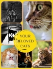 Your Beloved Cats: The Best Selection of 37 Cat Photos by Manhattan's Top Photographers Cover Image