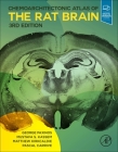 Chemoarchitectonic Atlas of the Rat Brain By George Paxinos, Mustafa S. Kassem, Matthew Kirkcaldie Cover Image