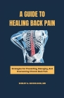 A Guide to Healing Back Pain: Strategies for Preventing, Managing, and Overcoming Chronic Back Pain By Shelby A. Nicholson Cover Image