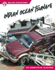Indian Ocean Tsunami By Annette M. Clayton Cover Image