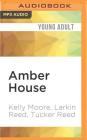 Amber House Cover Image