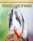 Porcellino D'India: l'incredibile vita dei Porcellino D'India Cover Image