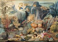 Puzzle Ocean Life By Inc Peter Pauper Press (Created by) Cover Image