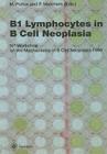 B1 Lymphocytes in B Cell Neoplasia: 16th Workshop on the Mechanisms of B Cell Neoplasia, 1999 (Perspectives in Vision Research) Cover Image