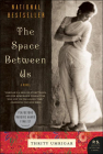 The Space Between Us (P.S.) By Thrity Umrigar Cover Image