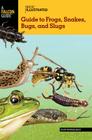 Basic Illustrated Guide to Frogs, Snakes, Bugs, and Slugs (Falcon Guides: Basic Illustrated) By John Himmelman Cover Image