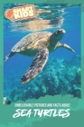 Unbelievable Pictures and Facts About Sea Turtles Cover Image