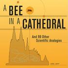 A Bee in a Cathedral: And 99 Other Scientific Analogies By Joel Levy Cover Image