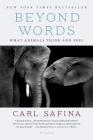 Beyond Words: What Animals Think and Feel By Carl Safina Cover Image