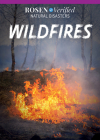 Wildfires By Theresa Emminizer Cover Image