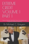 Extreme Credit Volume 1 Part 1: How to Eliminate Bad Debt Using Cancelation and Forgiveness Instead of Money By Michael C. Grayson Cover Image