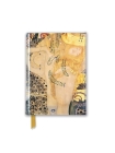Gustav Klimt: Water Serpents I (Foiled Pocket Journal) (Flame Tree Pocket Notebooks) Cover Image