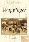 Wappinger (Postcard History) By David Turner Cover Image