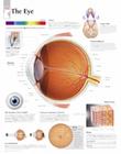 The Eye Chart: Laminated Wall Chart Cover Image