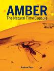 Amber: The Natural Time Capsule Cover Image