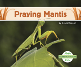 Praying Mantis (Incredible Insects) Cover Image