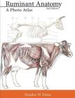 Ruminant Anatomy: A Photo Atlas Cover Image