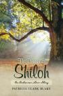 The Dream of Shiloh: An Arkansas Love Story By Patricia Clark Blake Cover Image