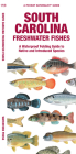 South Carolina Freshwater Fishes: A Waterproof Folding Guide to Native and Introduced Species (Pocket Naturalist Guide) By Matthew Morris, Waterford Press, Leung Raymond (Illustrator) Cover Image