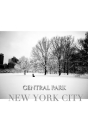 central park New York City Winter wonderland blank journal Cover Image