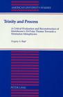 Trinity and Process: A Critical Evaluation and Reconstruction of Hartshorne's Di-Polar Theism Towards a Trinitarian Metaphysics (American University Studies #119) By Gregory A. Boyd Cover Image
