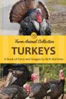 Turkeys By M/N Martinez Cover Image