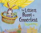 The Littlest Bunny in Connecticut: An Easter Adventure By Lily Jacobs, Robert Dunn (Illustrator) Cover Image