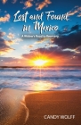 Lost and Found in Mexico: A Widow's Road to Recovery By Candy Wolff Cover Image