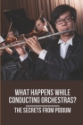 What Happens While Conducting Orchestras?: The Secrets From Podium: Orchestra Symphony Cover Image