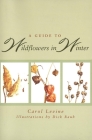 A Guide to Wildflowers in Winter: Herbaceous Plants of Northeastern North America By Carol Levine, Dick Rauh (Illustrator) Cover Image