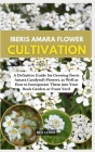 Iberis Amara Flower Cultivation: A Definitive Guide for Growing Iberis Amara Candytuft Flowers, as Well as How to Incorporate Them into Your Rock Gard Cover Image