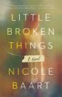 Little Broken Things: A Novel By Nicole Baart Cover Image