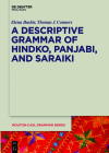 A Descriptive Grammar of Hindko, Panjabi, and Saraiki (Mouton-Casl Grammar #4) Cover Image