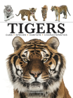 Tigers (Mini Encyclopedia) By Paula Hammond Cover Image
