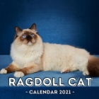Ragdoll Cat: 2021 Wall Calendar, Cute Gift Idea For Ragdoll Lovers Or Owners Men And Women By Important Afternoon Press Cover Image
